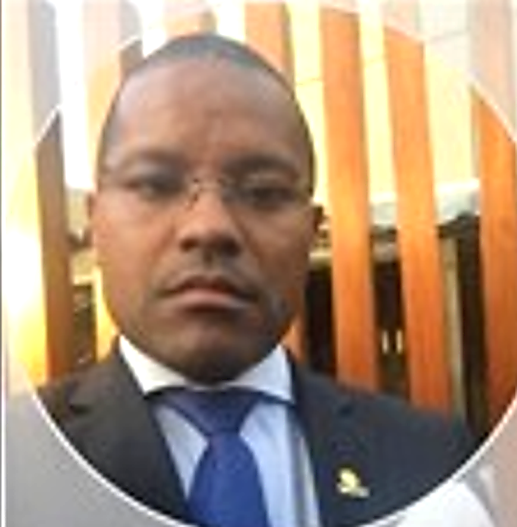 Gerson Vlademir Mateus Diniz